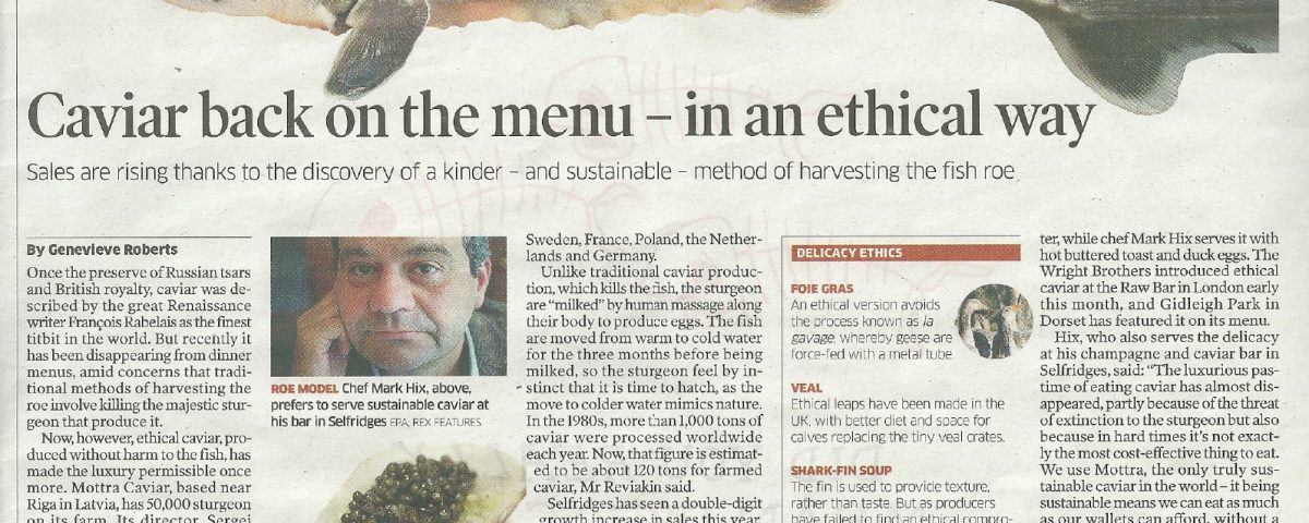 THE INDEPENDENT