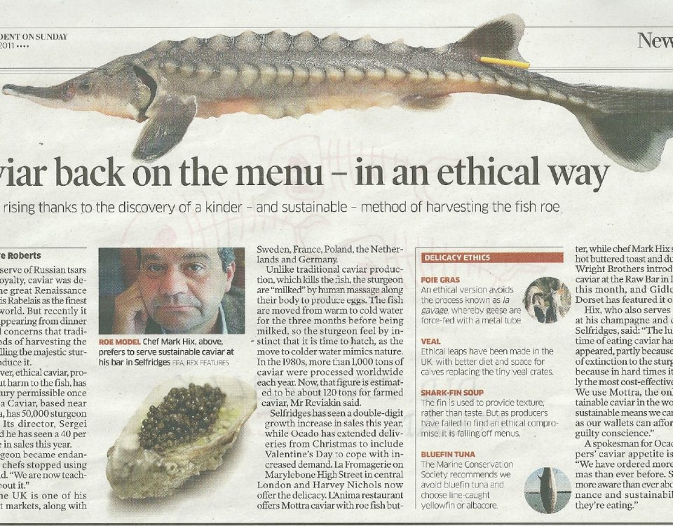 THE INDEPENDENT