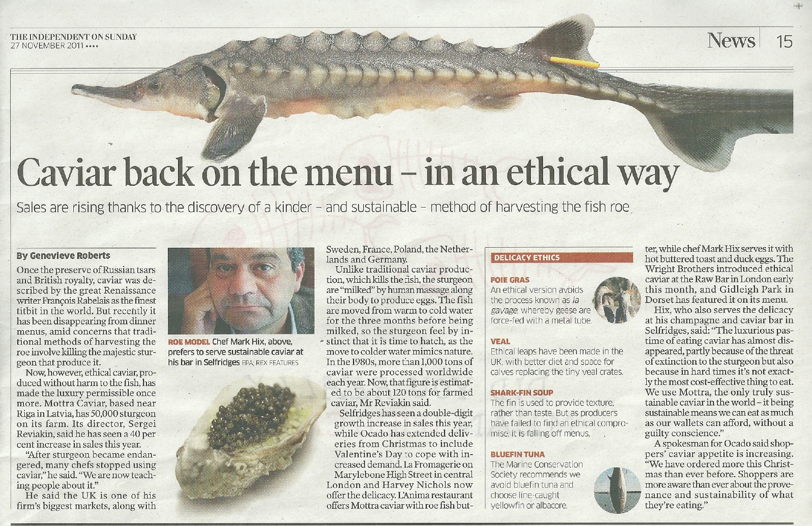 THE INDEPENDENT