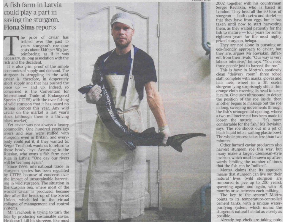 THE TIMES