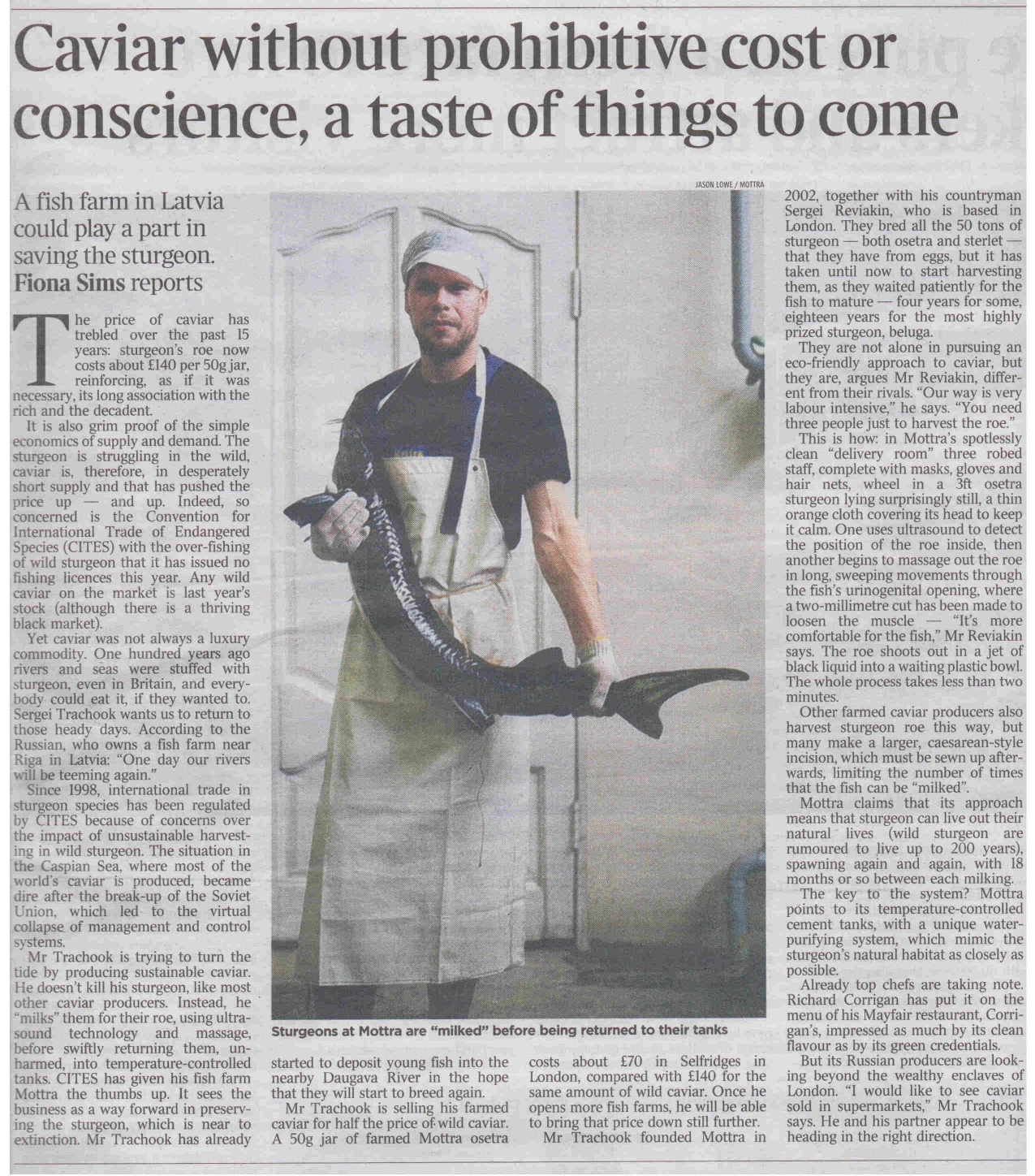 THE TIMES